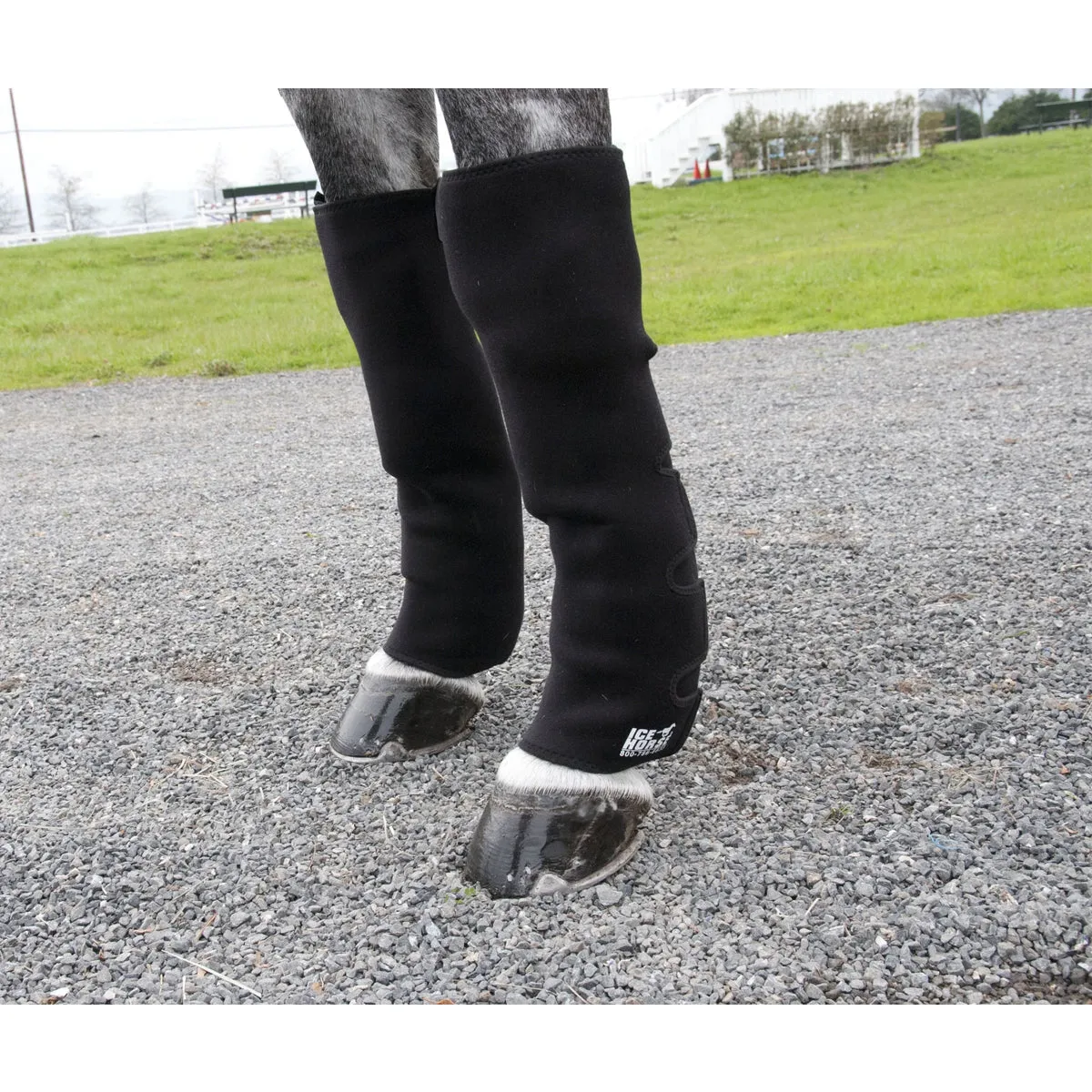 Ice Horse Knee to Ankle Wrap