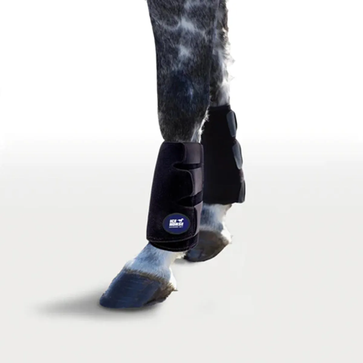 Ice Horse Knee to Ankle Wrap