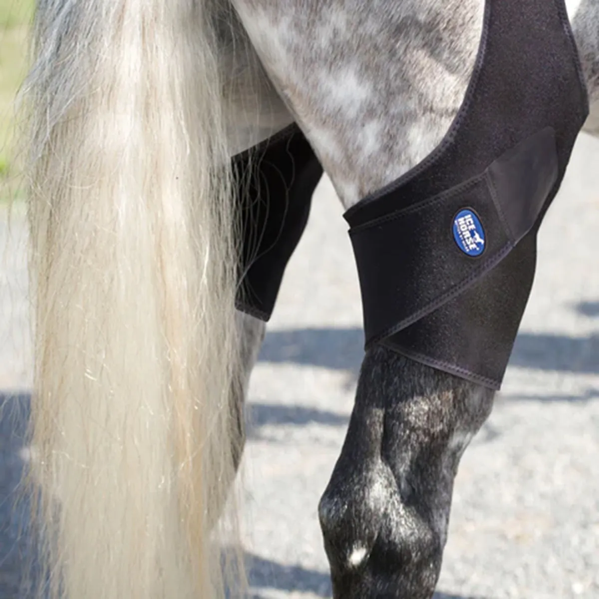 Ice Horse Stifle Wrap