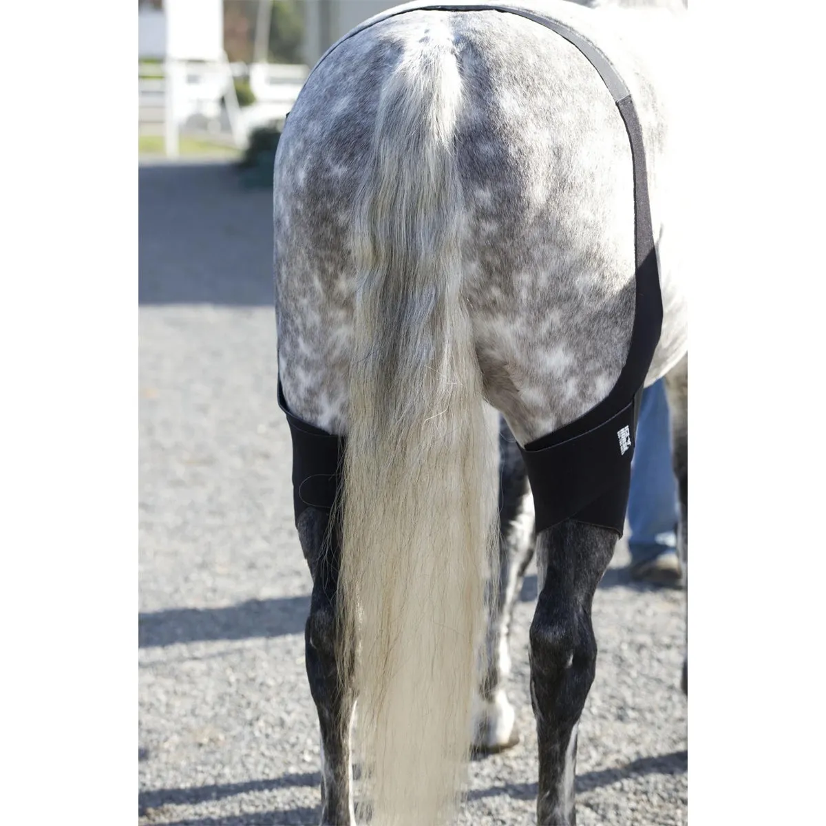 Ice Horse Stifle Wrap